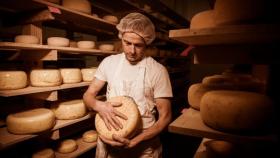 В России заработает новый ГОСТ на полутвёрдый сыр